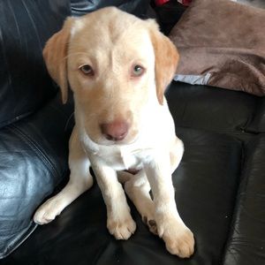 Meet your Posher, Lori